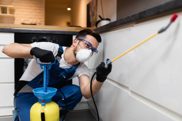 Professional Pest Control in La Riviera, CA