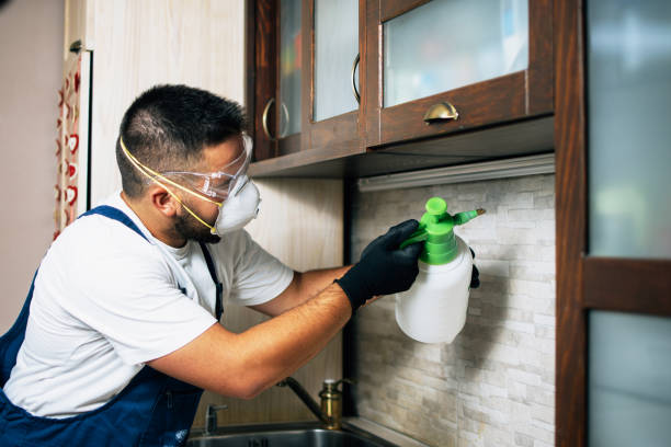 Best Local Pest Control Services  in La Riviera, CA