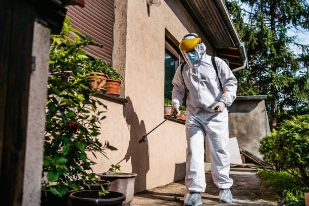 Best Mosquito Control Services  in La Riviera, CA