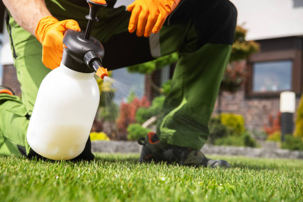 Best Pest Control Treatment  in La Riviera, CA