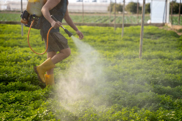 Best Ant Control Services  in La Riviera, CA