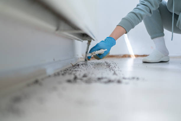 Best Exterminator Services  in La Riviera, CA