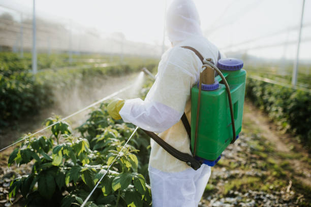 Best Commercial Pest Control Services  in La Riviera, CA